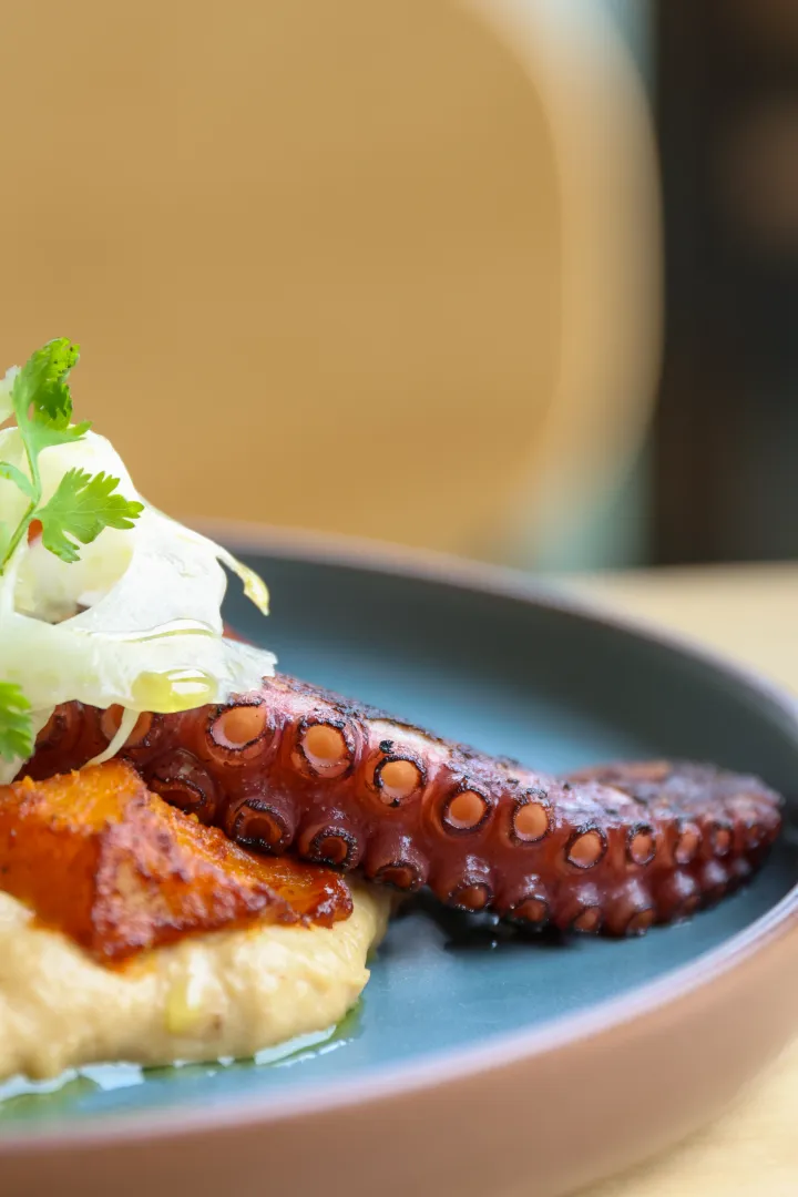 Conoce nuestra historia